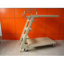 Metal Ladder Cart with Wheels (YRD-D2)